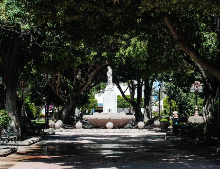 Departamento Escontria A Unos Pasos De Av.carranza San Luis Potosí