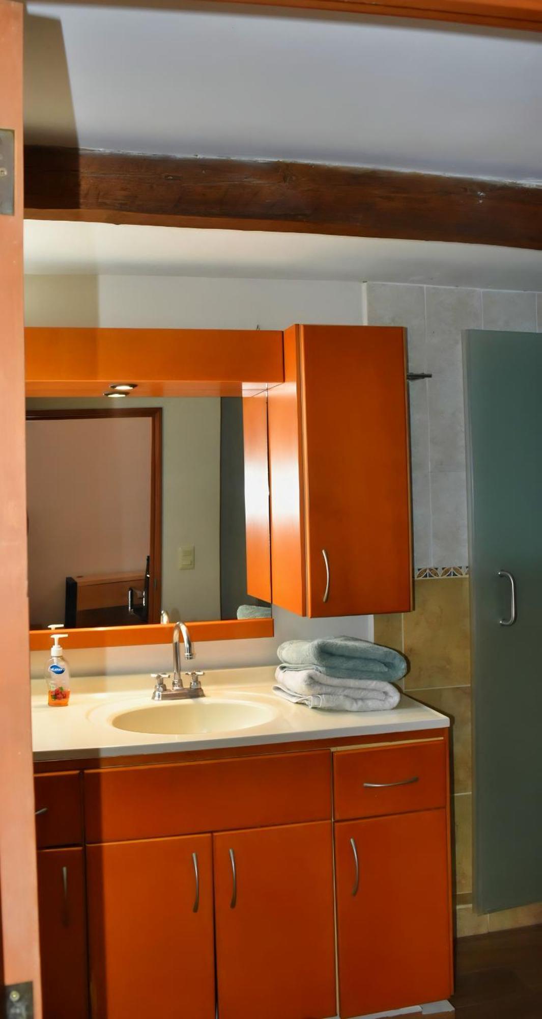 Casas Freda - Centro Historico Departamentos * San Luis Potosi