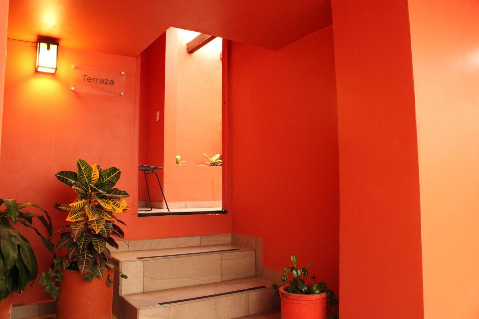 Lu De Anda Boutique San Luis Potosi