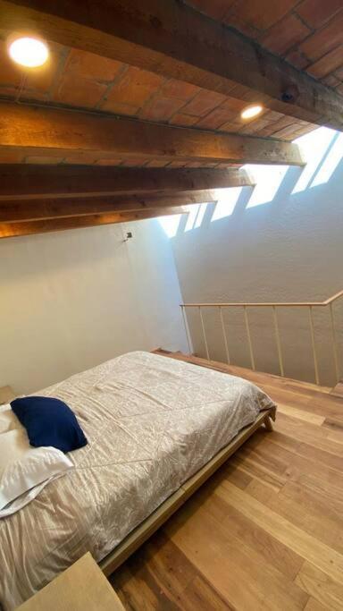 Coliving En Centro Apartamento *