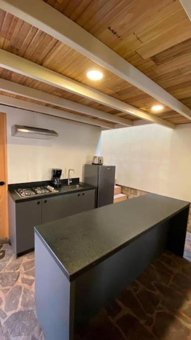 Coliving En Centro San Luis Potosí