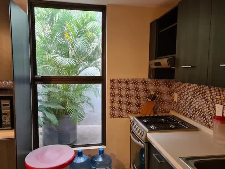 Departamento Morelos Slp Centro Historico Apartamento