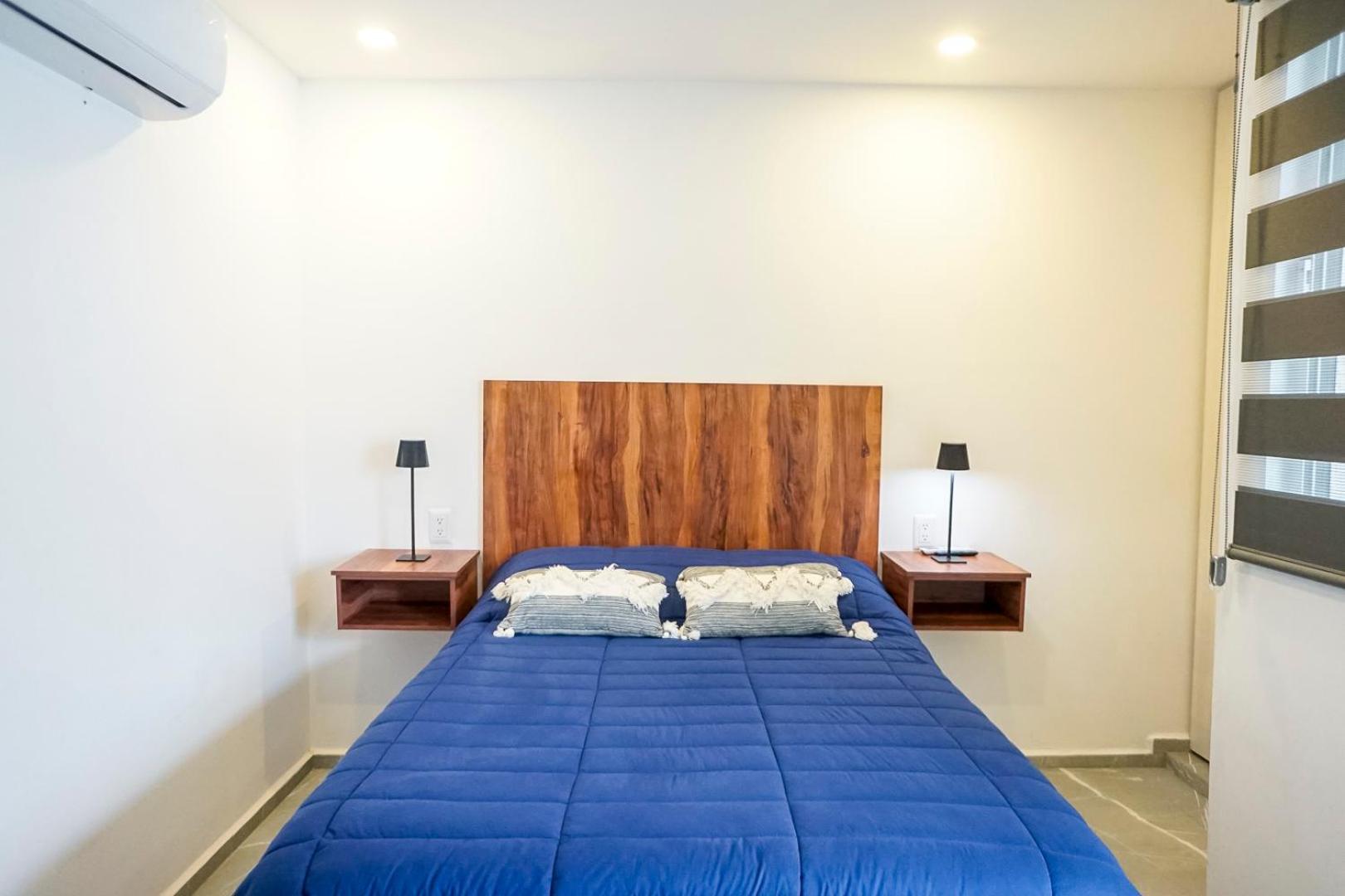 Lofts Arsenico * San Luis Potosí