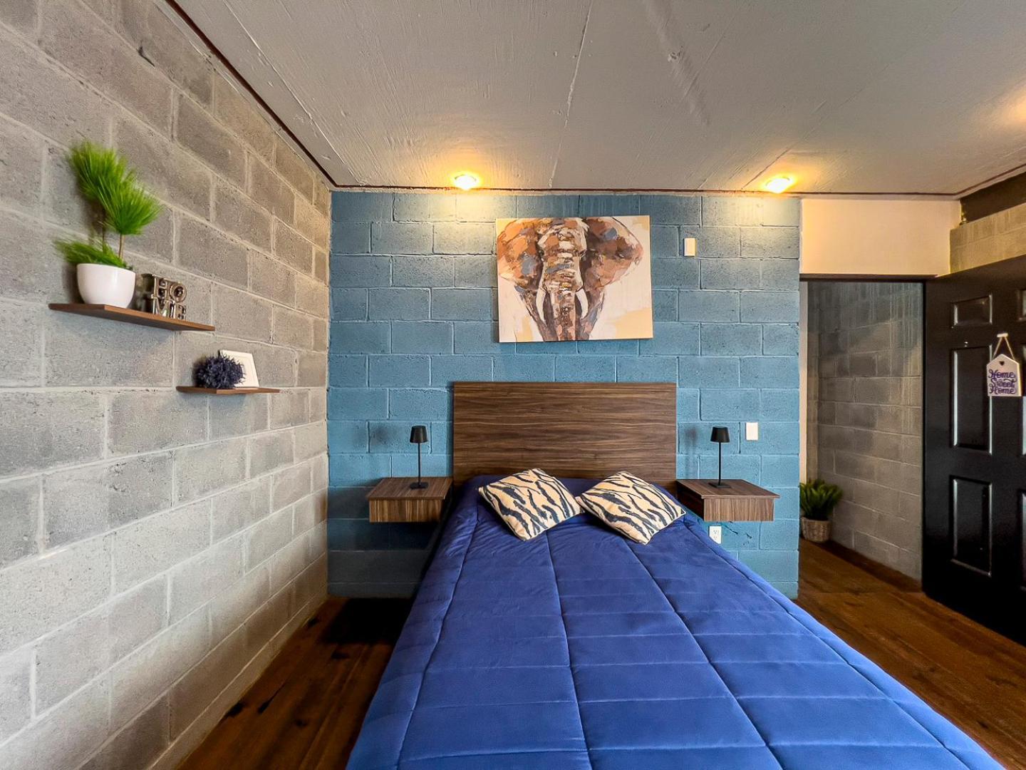 Casa Cobre Stayhouse Pensión San Luis Potosí