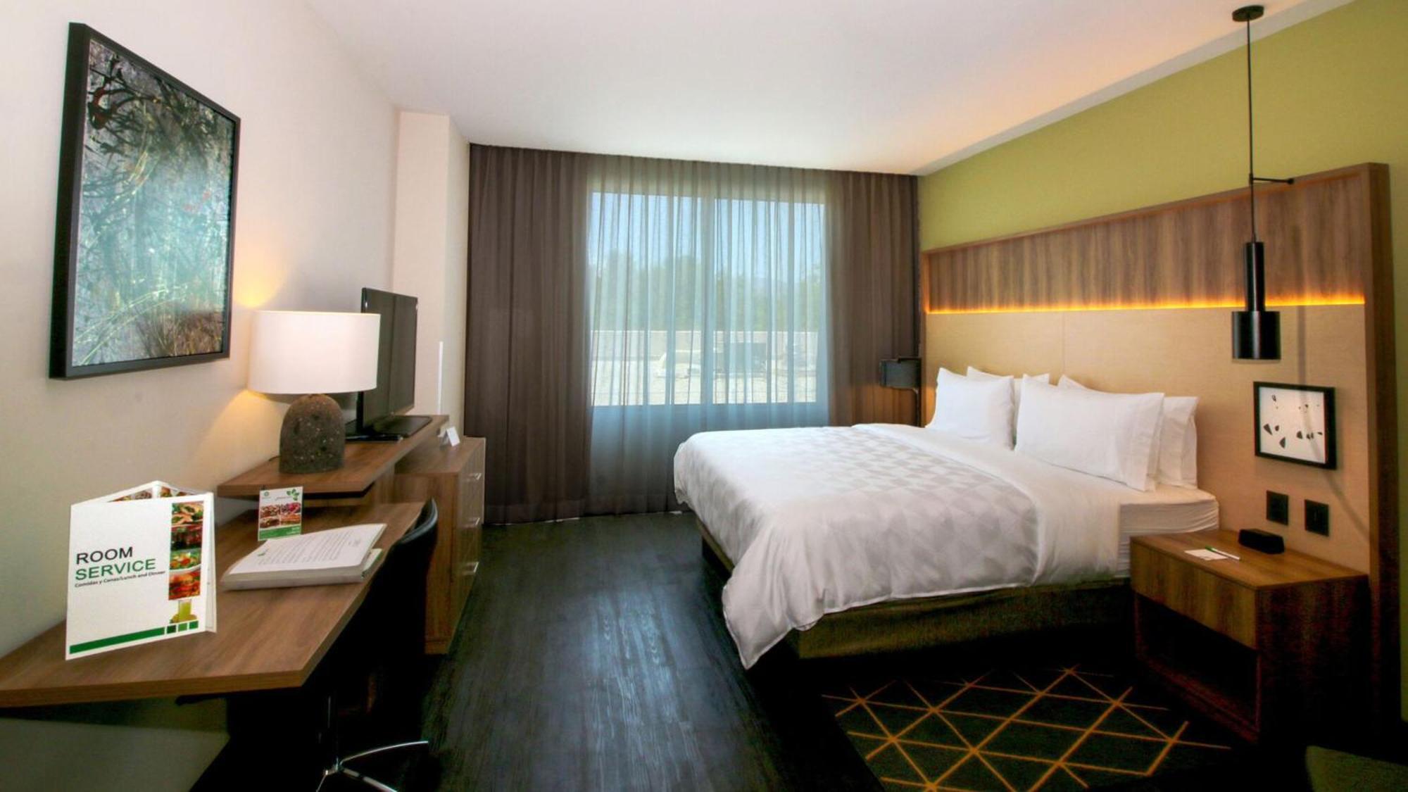 San Luis Potosi-quijote By Ihg Hotel 5*