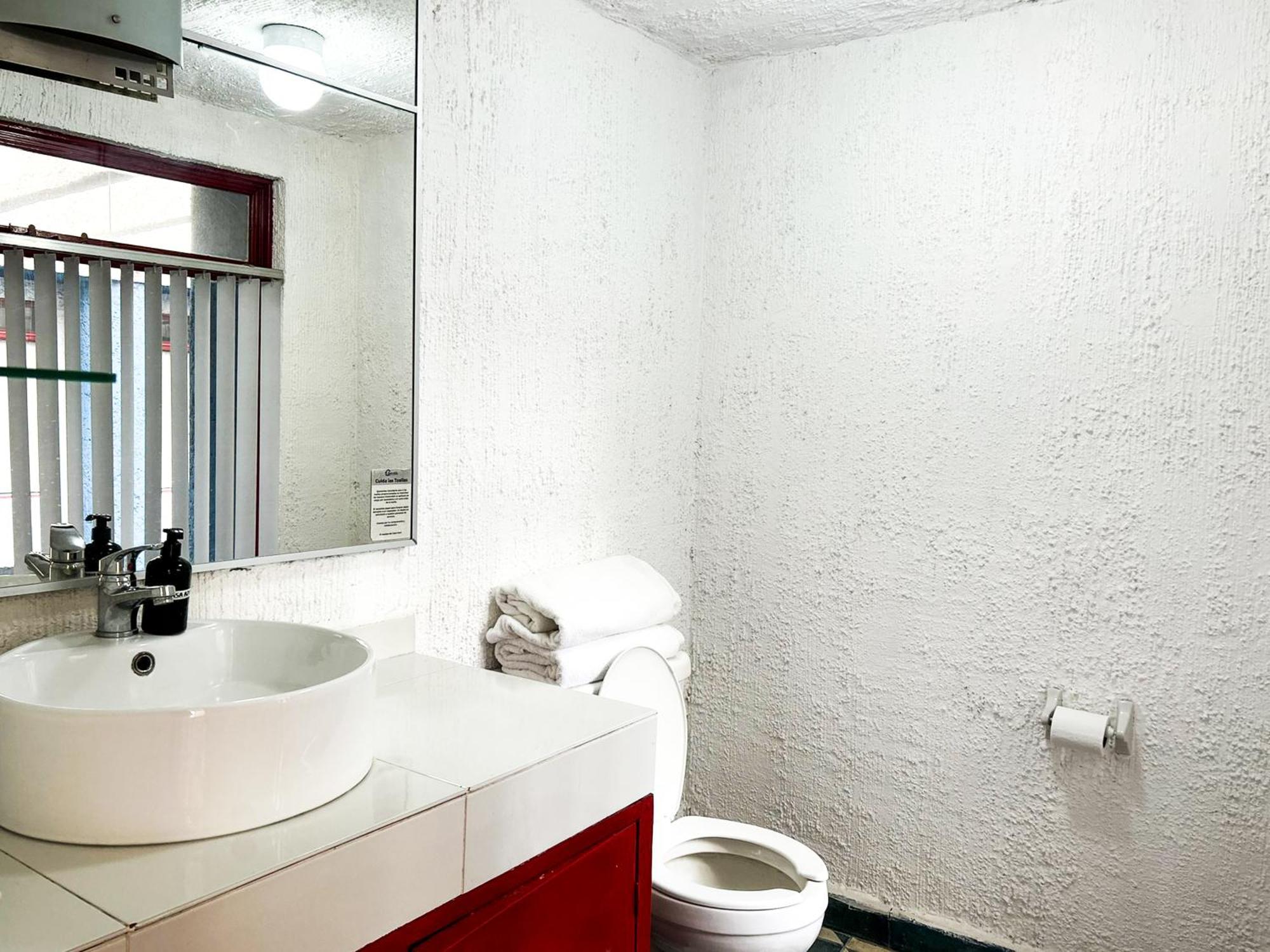 Lofts En Casa Azul Centro De Slp - Inmotega * San Luis Potosí