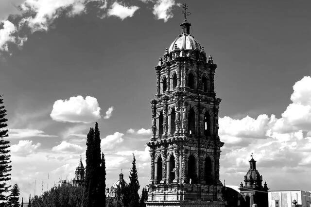 Entre Cantera Y Cactus Aventura En San Luis * San Luis Potosí