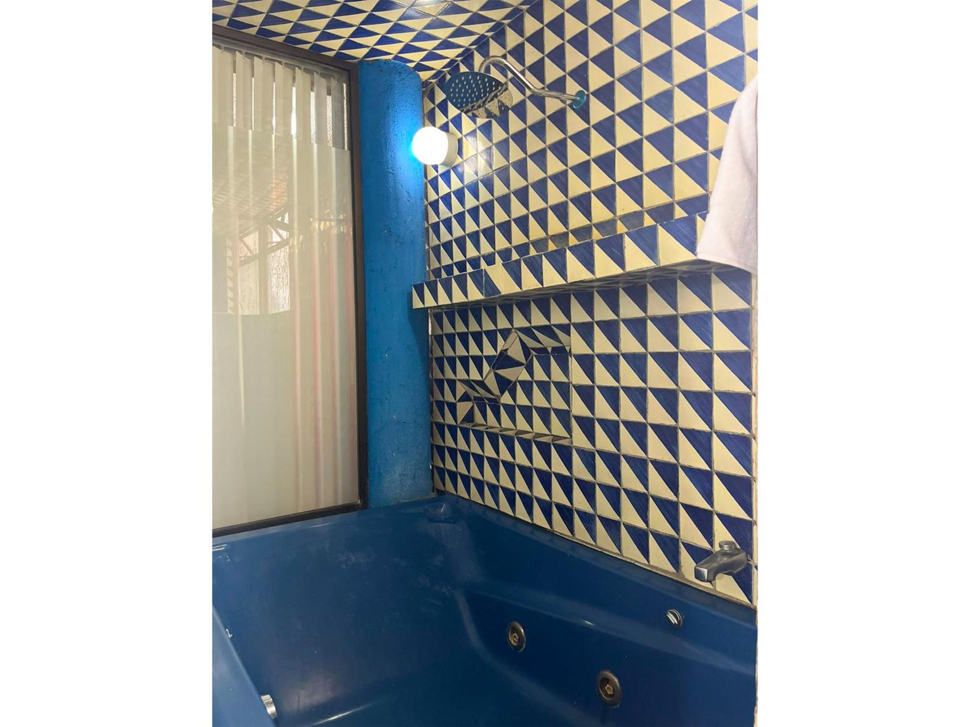 Lofts En Casa Azul Centro De Slp - Inmotega San Luis Potosí