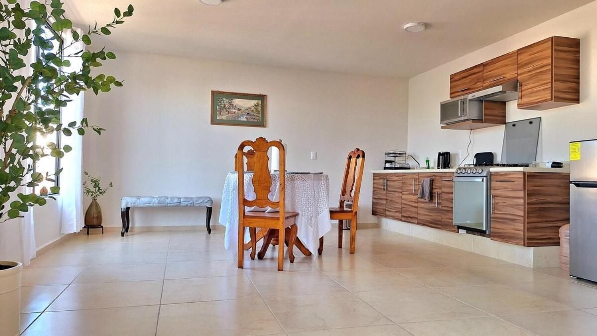 Apartamento Departamento Tequis, Totalmente Nuevo En El Corazon De Slp San Luis Potosí