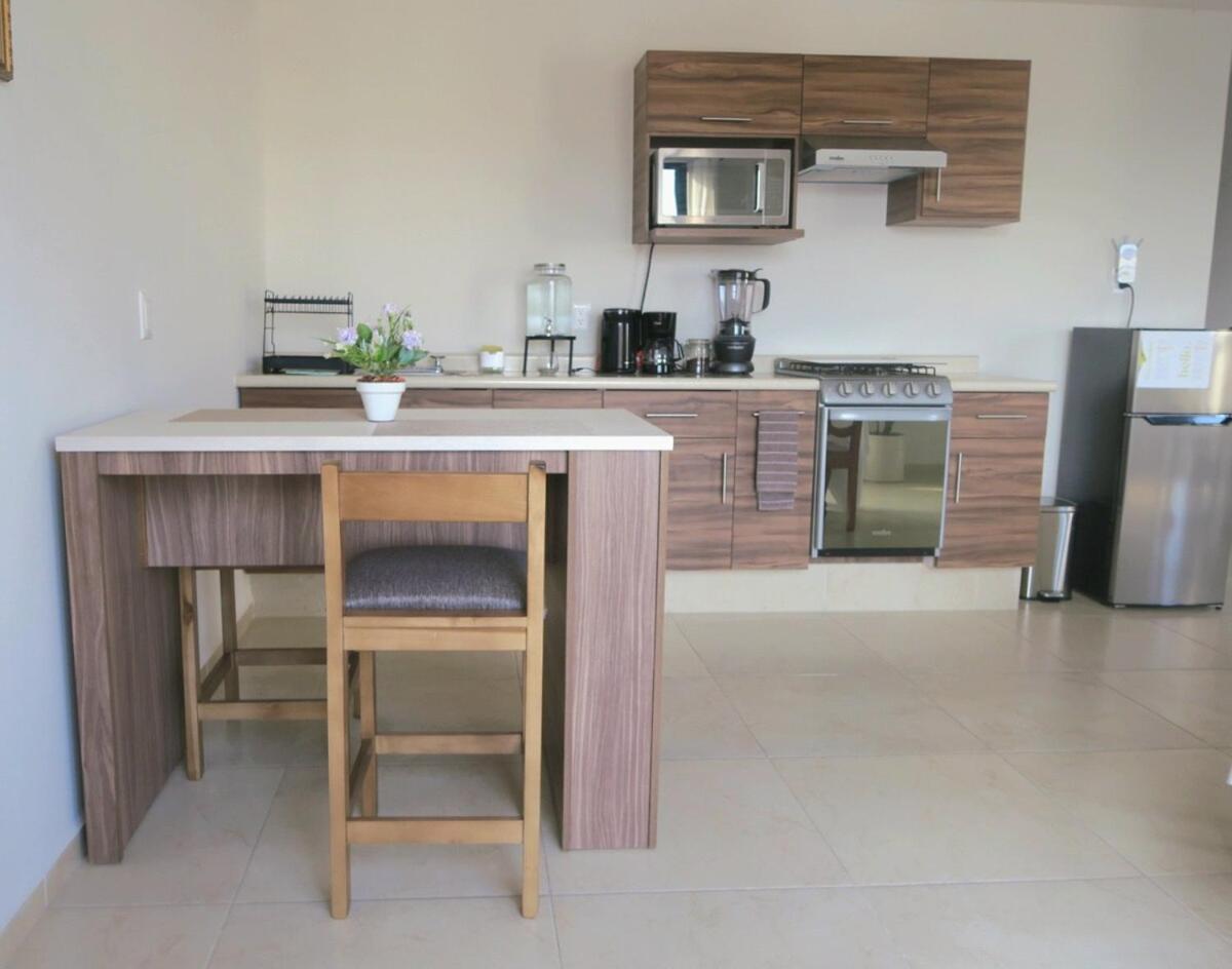 Departamento Tequis, Totalmente Nuevo En El Corazon De Slp Apartamento