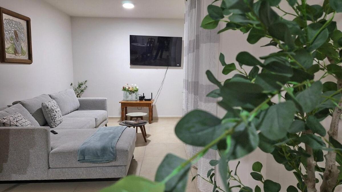 Apartamento Departamento Tequis, Totalmente Nuevo En El Corazon De Slp