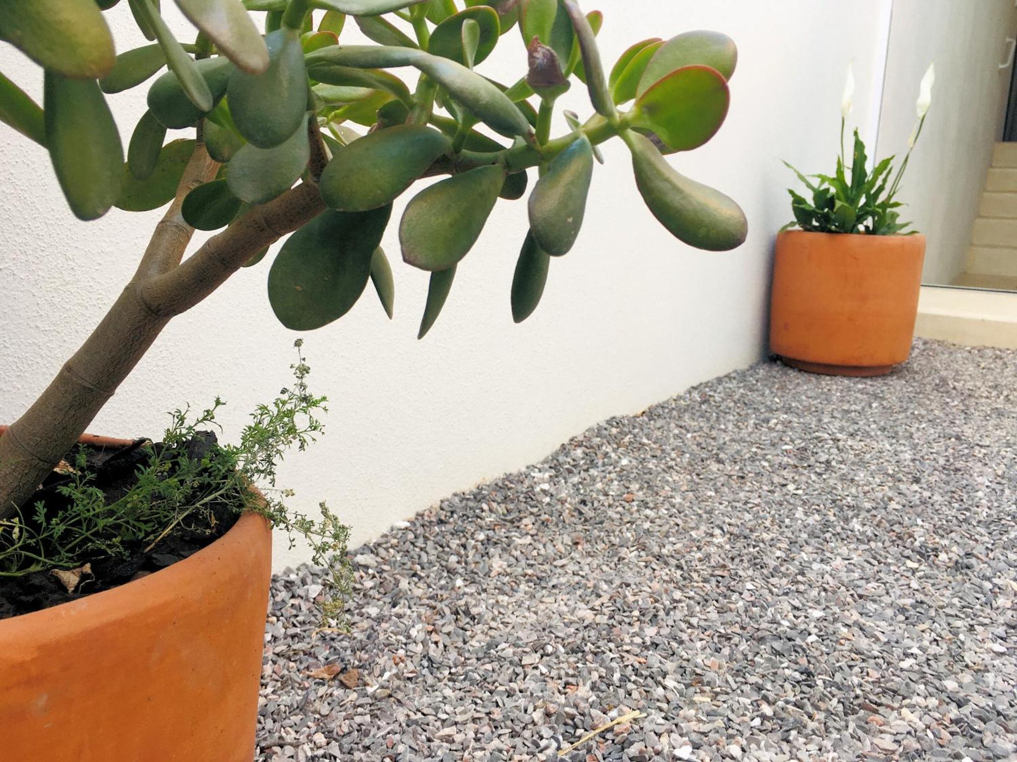 Apartamento Casa Nieto *