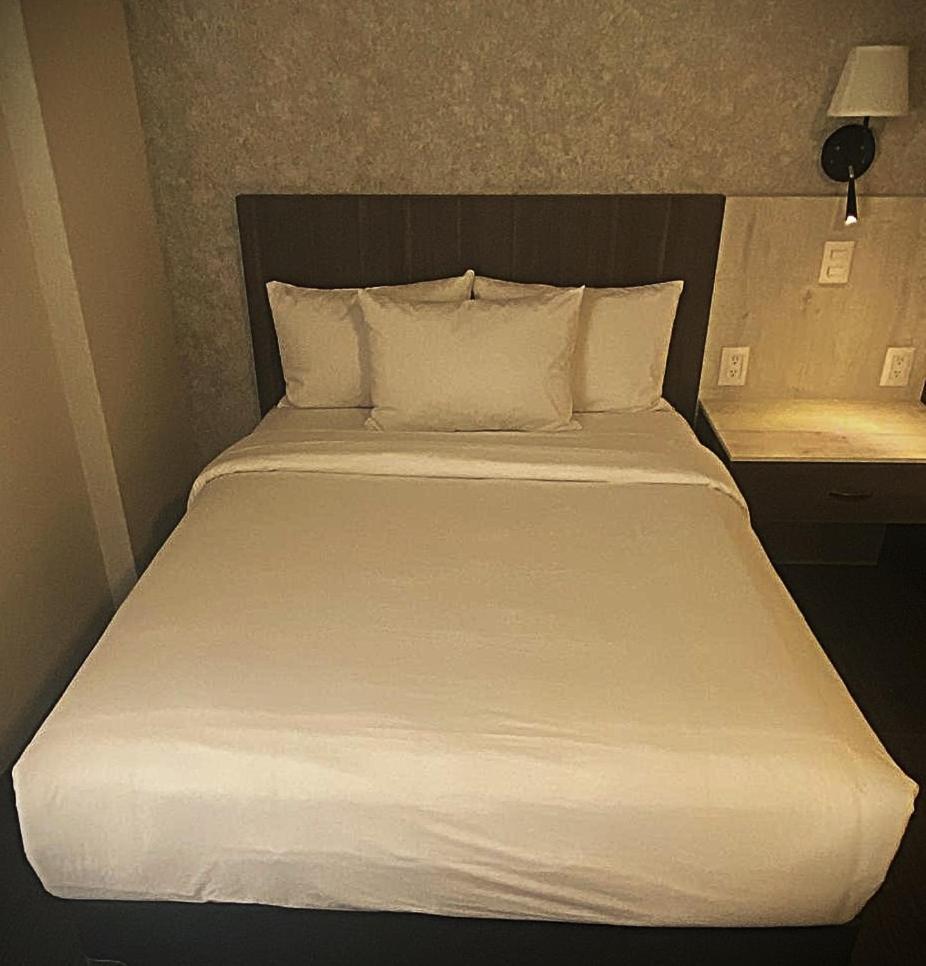 Jm & Hotel San Luis Potosí