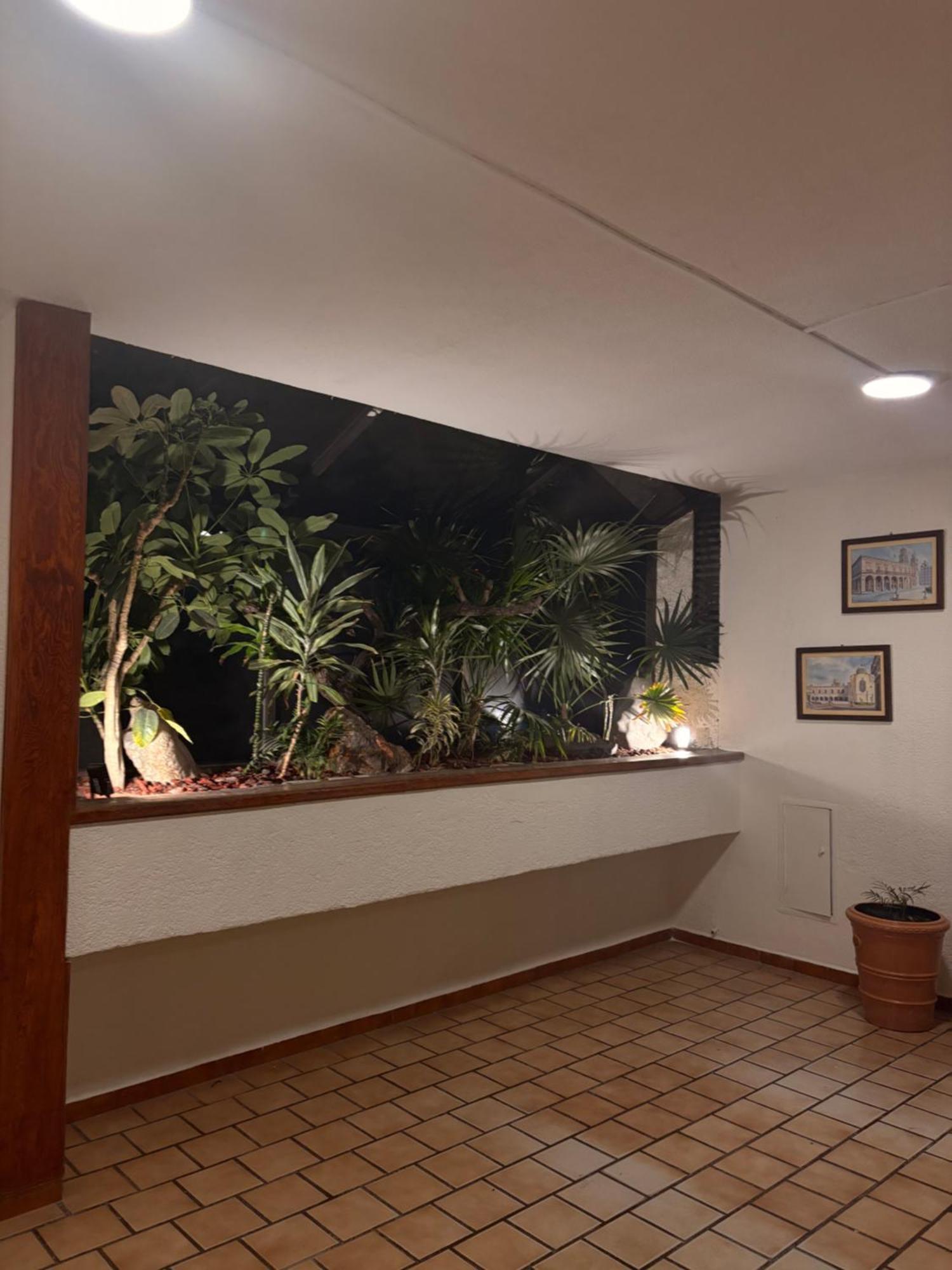 Hotel Tampico *