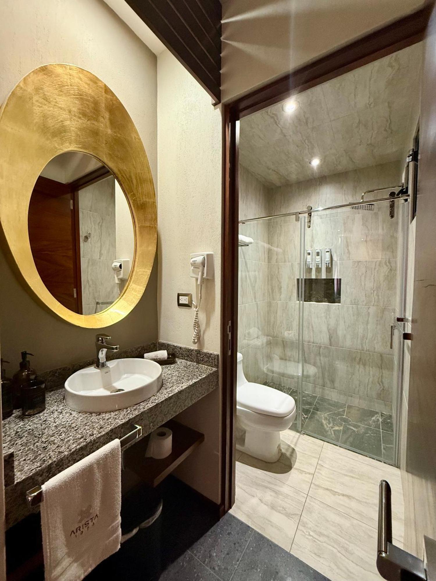 Hotel Arista 1026 San Luis Potosi