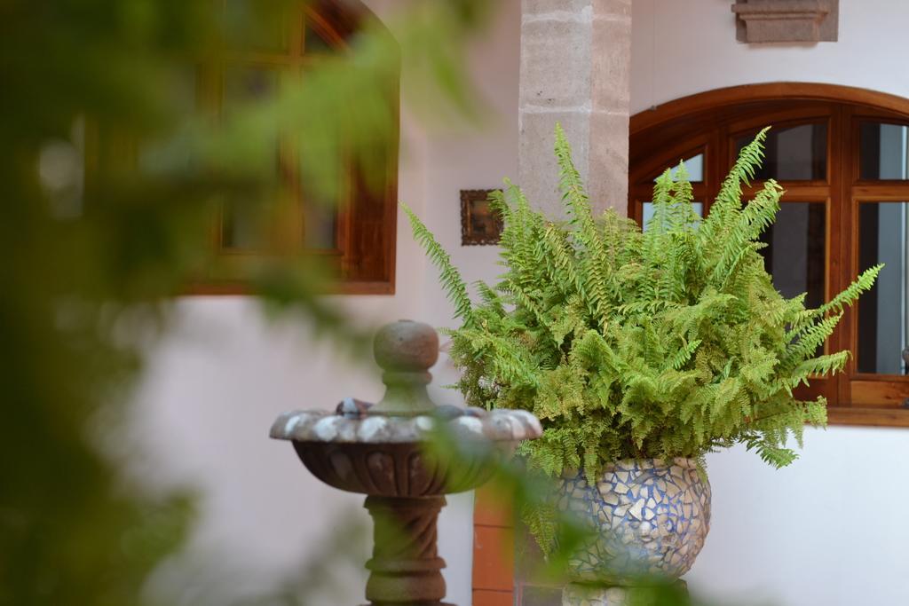 Casa Catalina San Luis Potosi