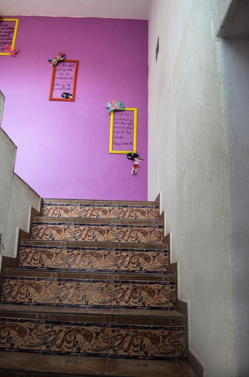 Hikuri Hostel
