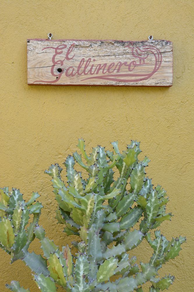 Casa Catalina San Luis Potosi