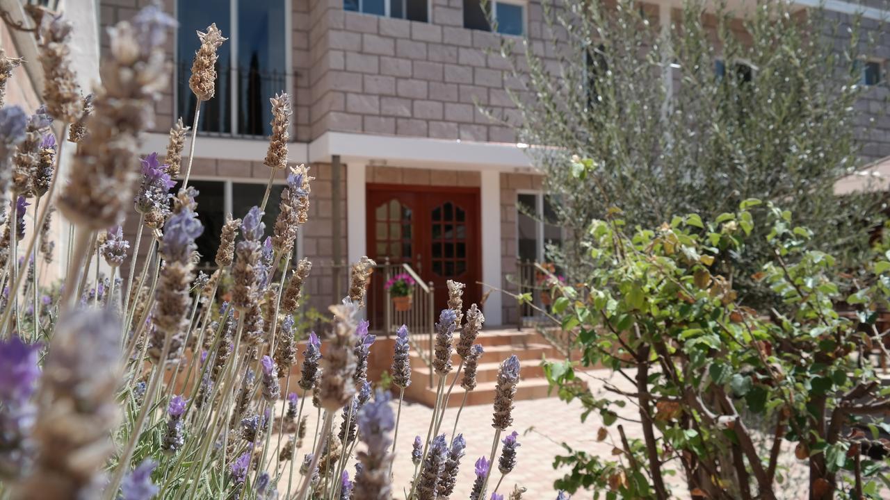 Bed and breakfast Tulipanes San Luis Potosí
