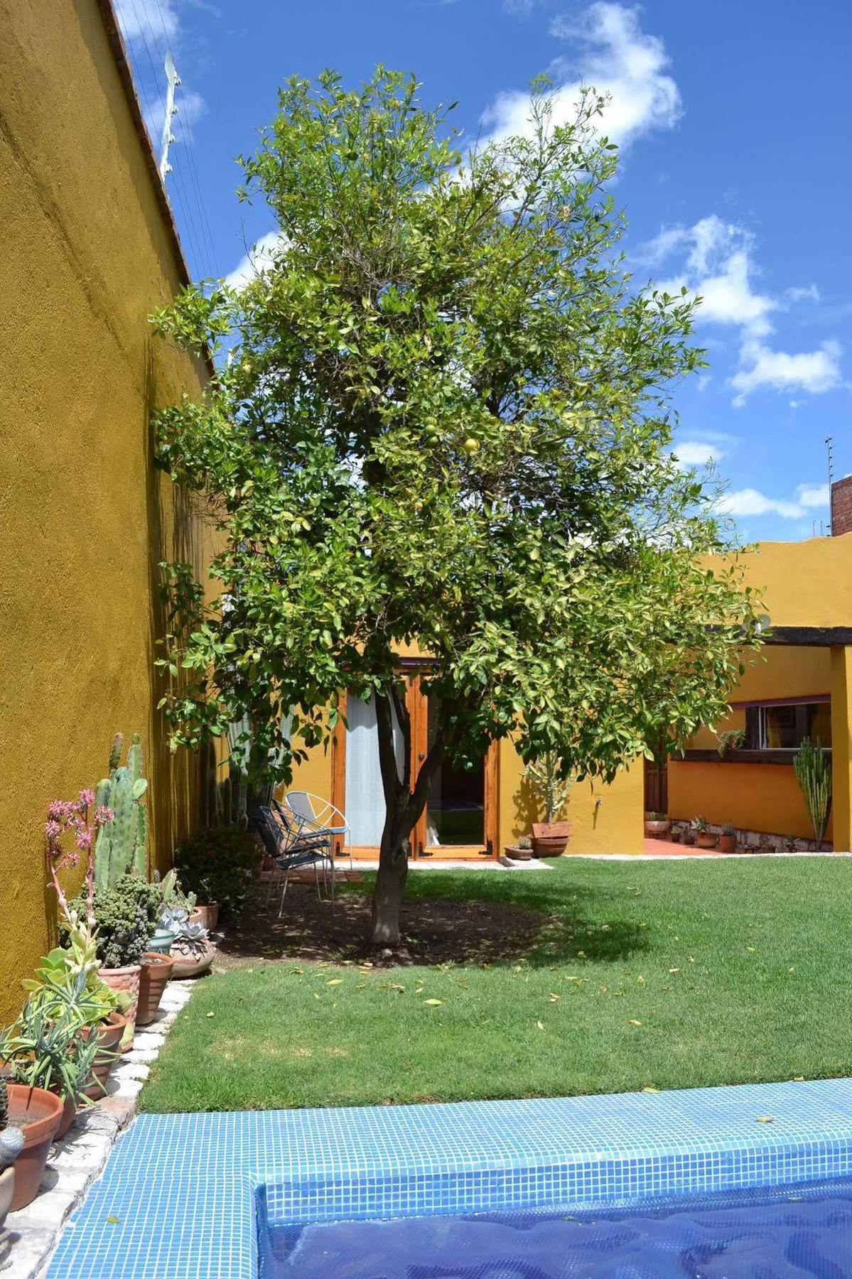 Hotel Casa Catalina 3*