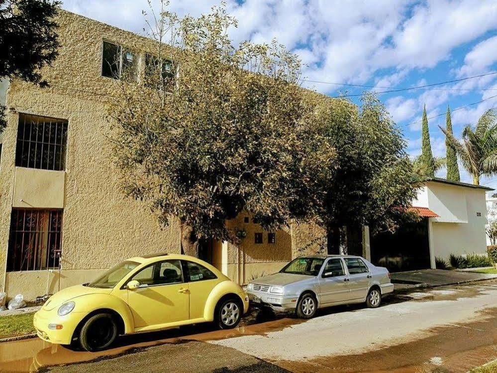 Ejecutivas Kenzi San Luis Potosí